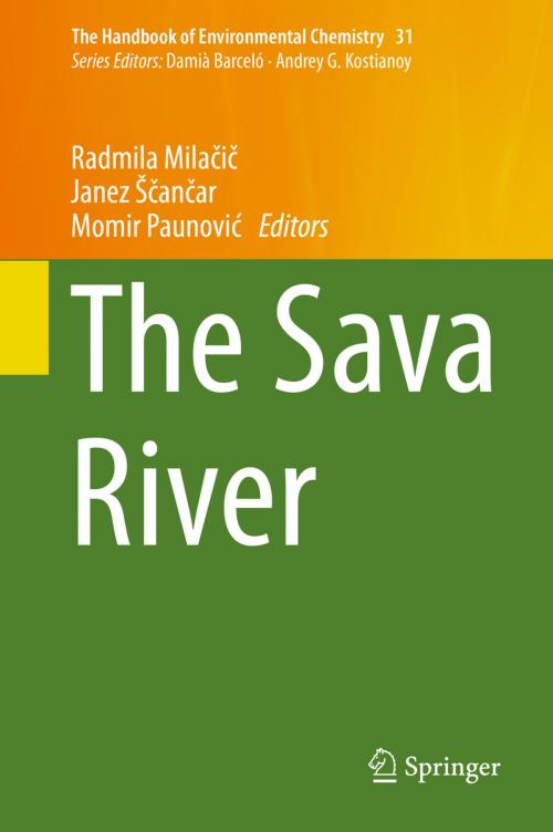 Cover of the book The Sava River by , Springer Berlin Heidelberg