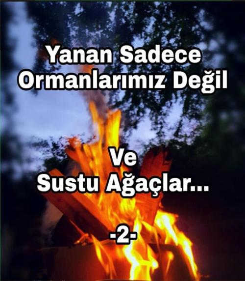 Cover of the book 2.VE Sustu AĞAÇLAR by Bengül Dedeoğlu, Bengül Dedeoğlu