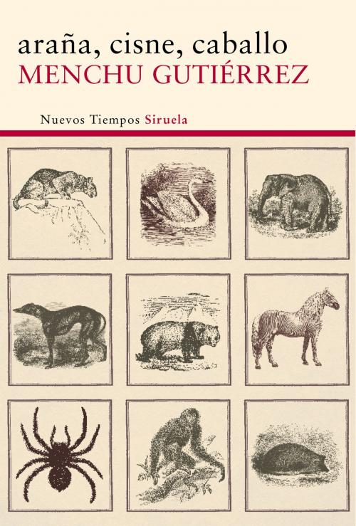 Cover of the book araña, cisne, caballo by Menchu Gutiérrez, Siruela