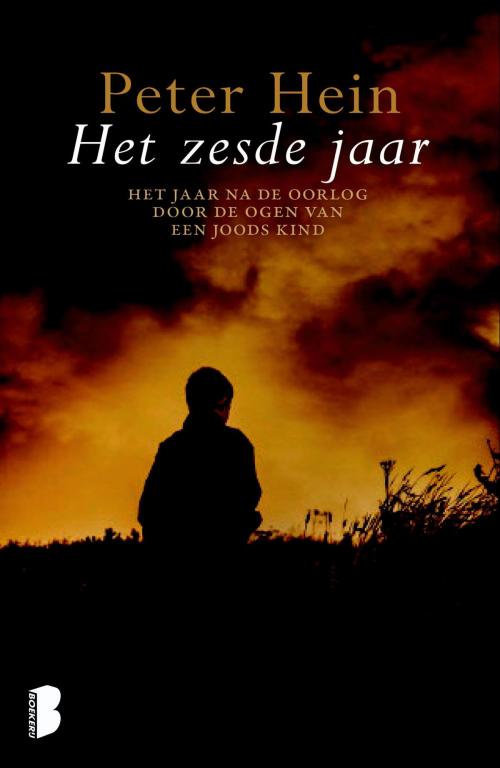 Cover of the book Het zesde jaar by Peter Hein, Meulenhoff Boekerij B.V.