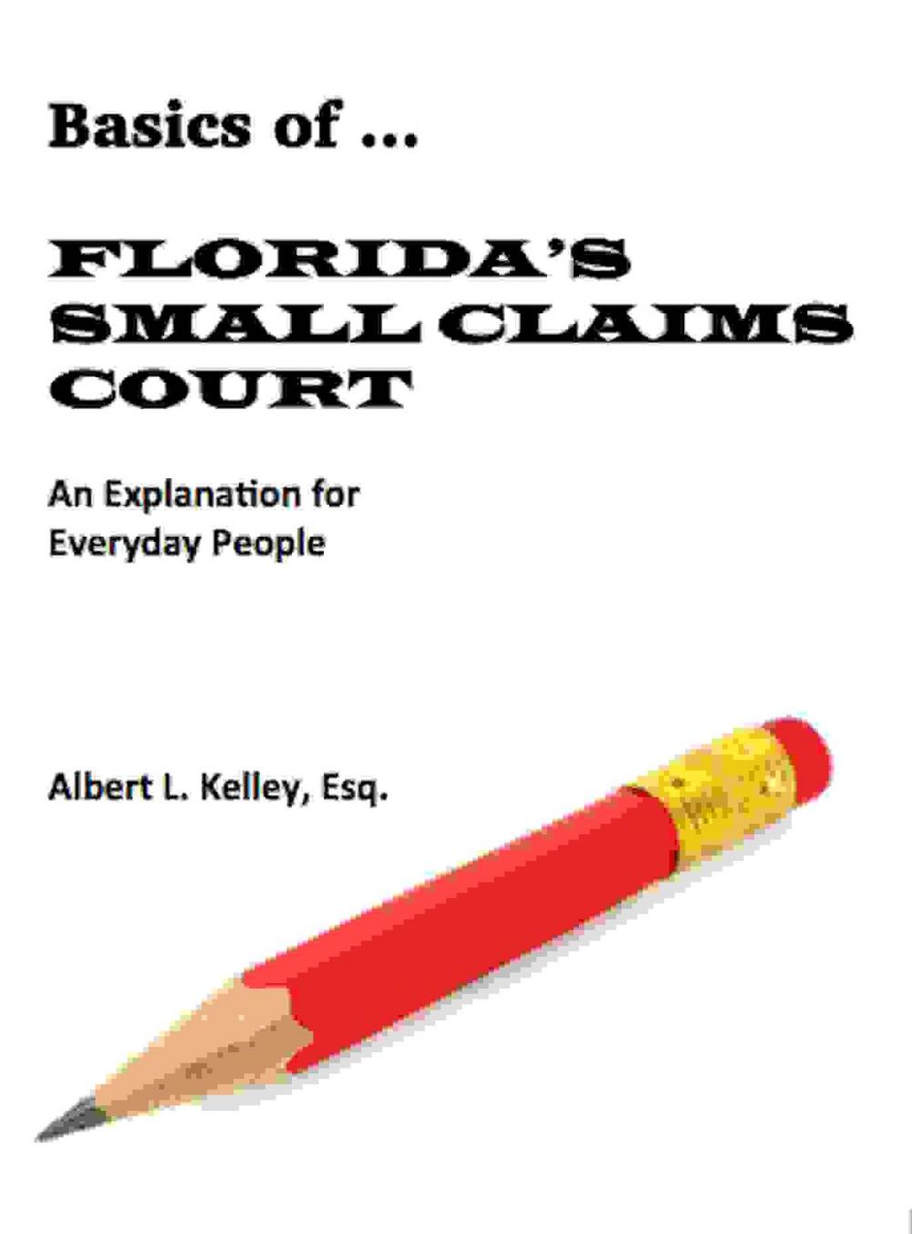 Big bigCover of Basics of …Florida’s Small Claims Court