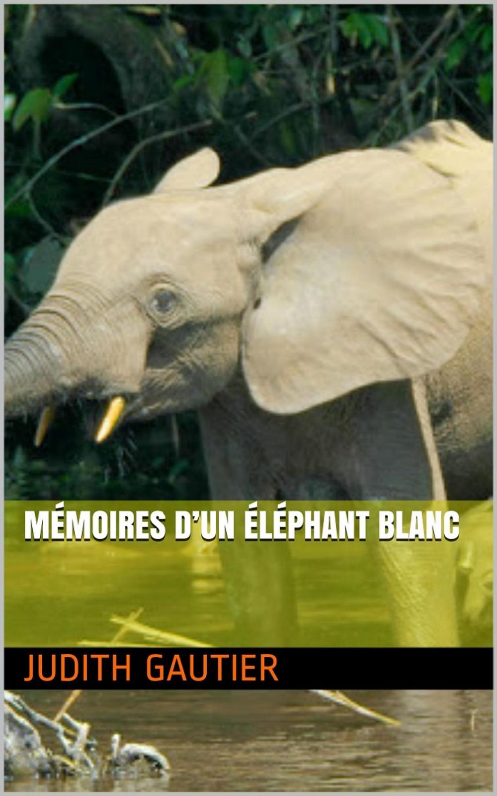 Big bigCover of Mémoires d’un Éléphant blanc