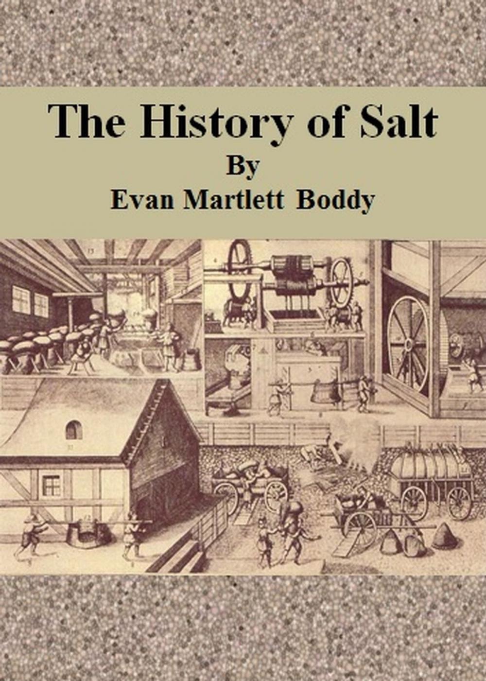 Big bigCover of The History of Salt