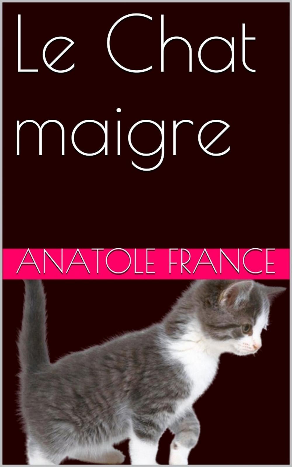 Big bigCover of Le Chat maigre