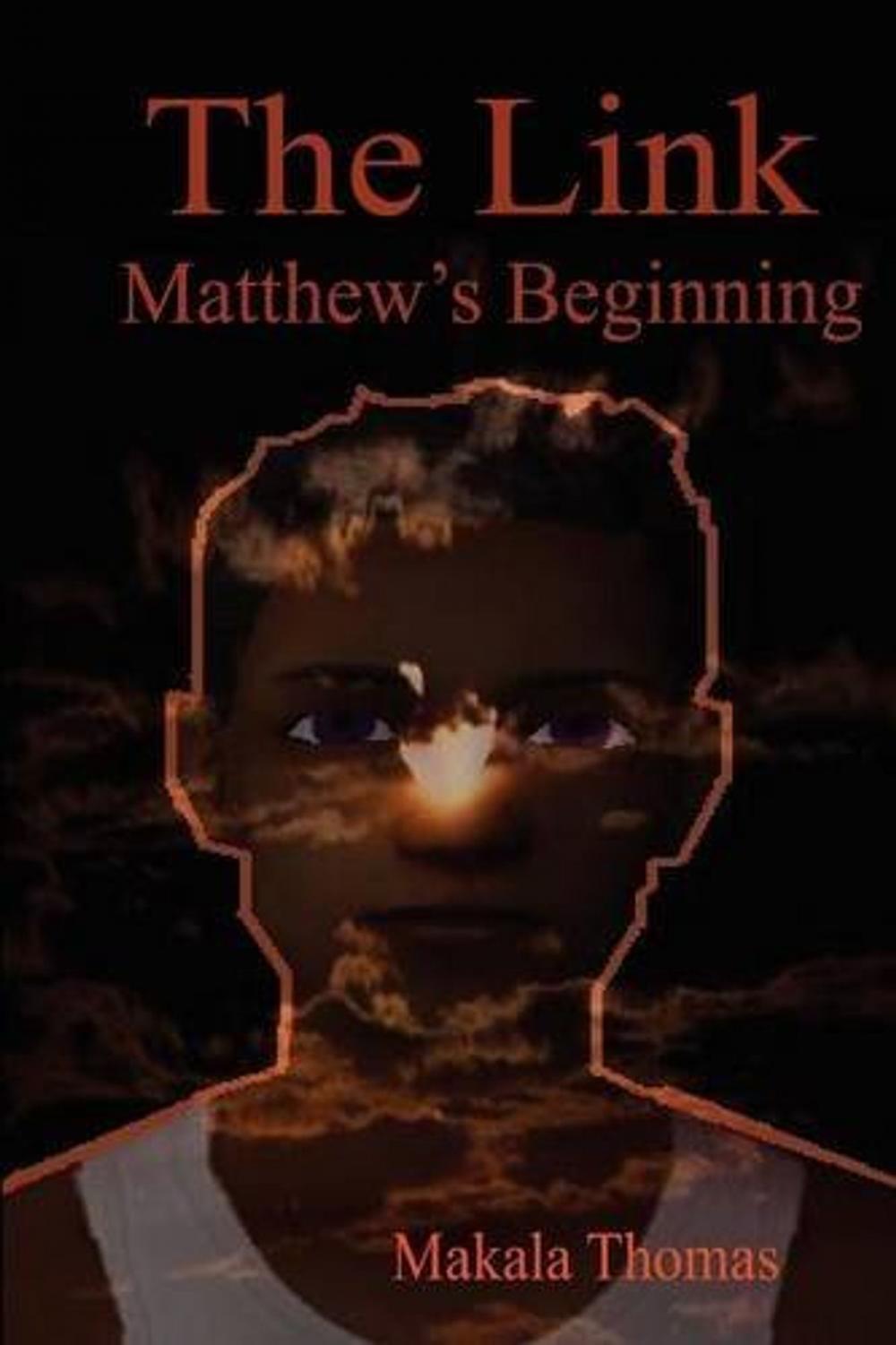 Big bigCover of The Link: Matthew's Beginning