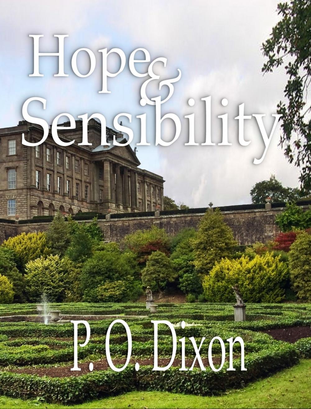 Big bigCover of Hope and Sensibility