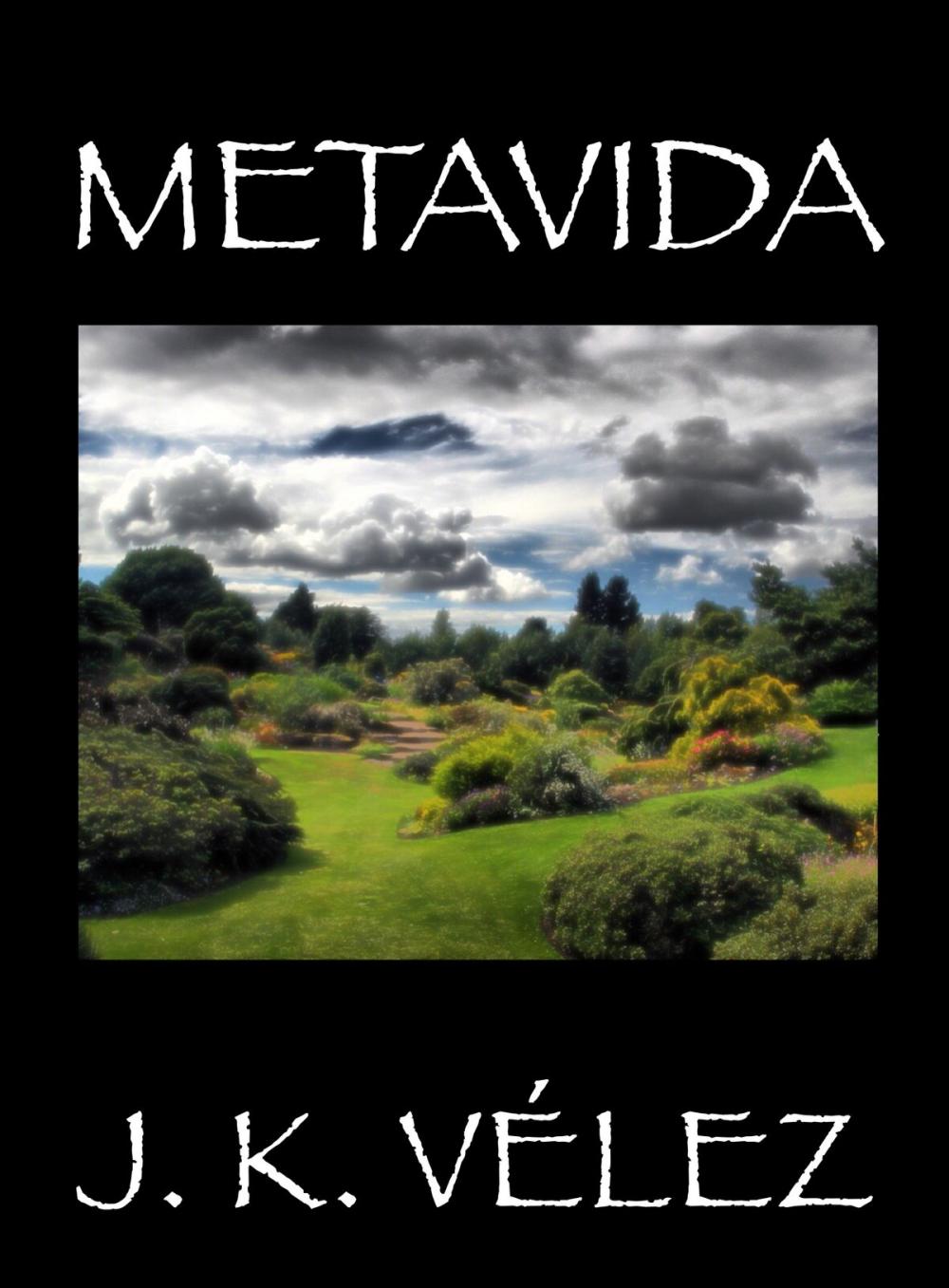 Big bigCover of Metavida