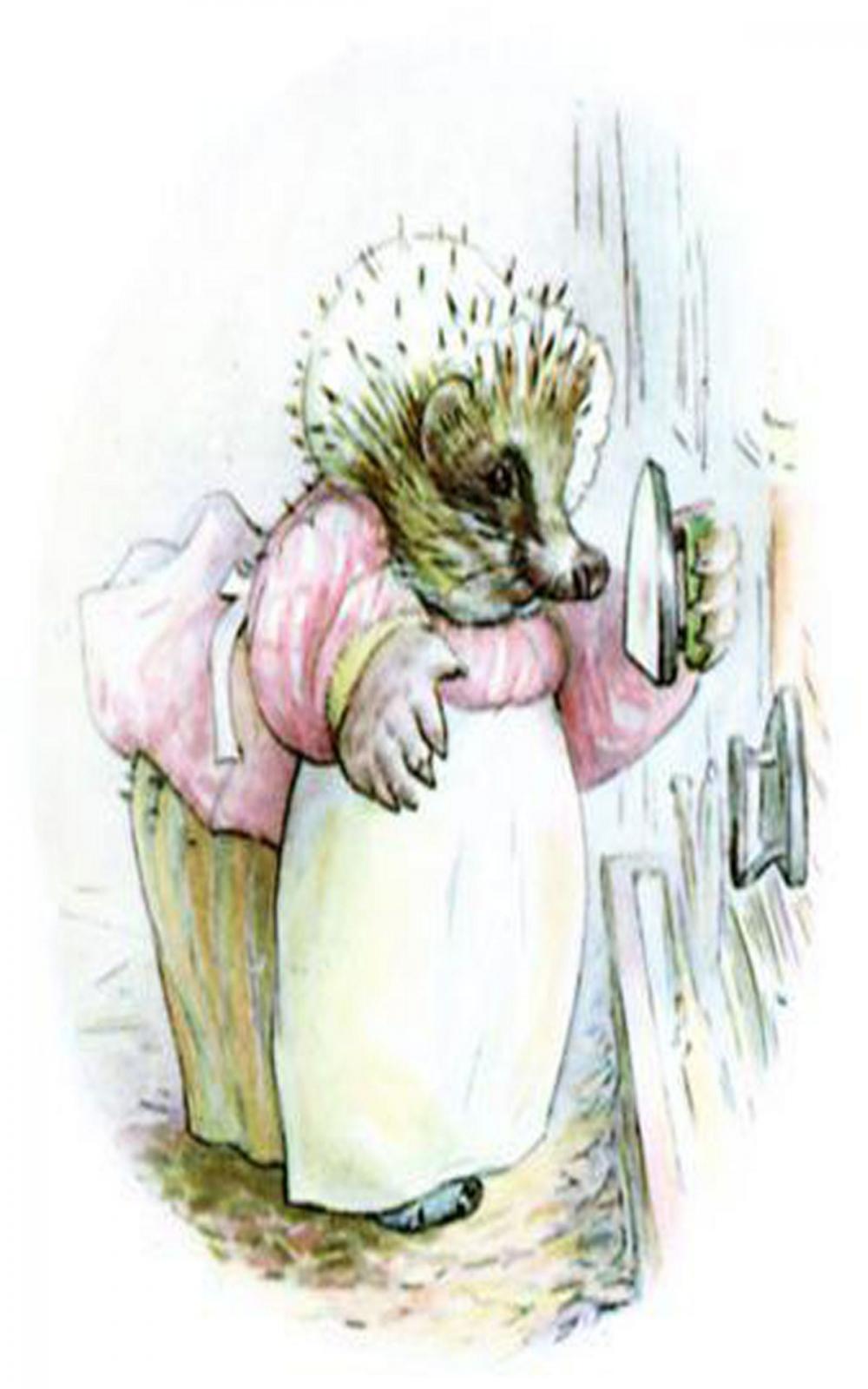 Big bigCover of Tale of Mrs. Tiggy-Winkle (Illustrated)