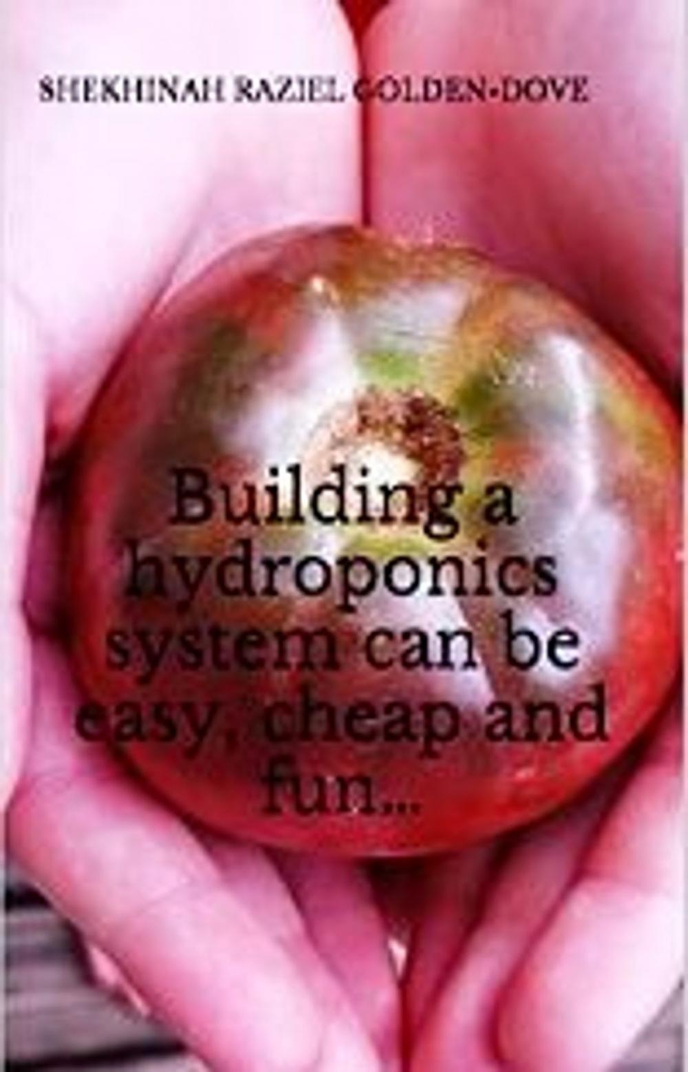 Big bigCover of Building a hydroponics system can be easy, cheap and fun...