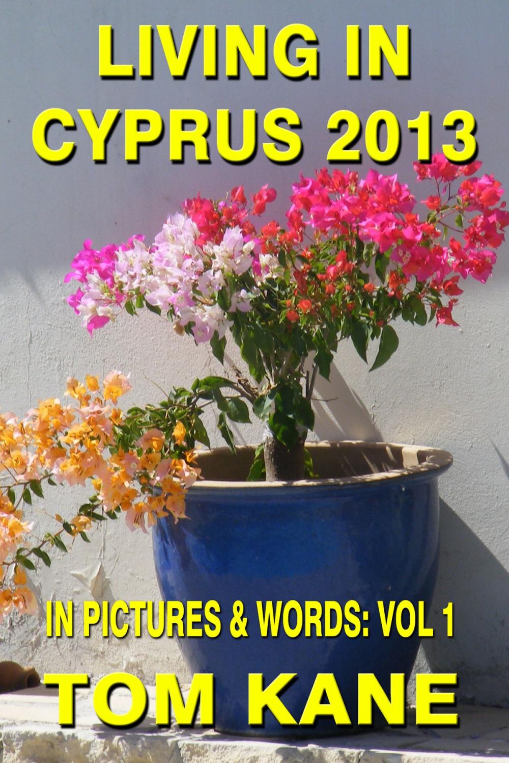 Big bigCover of Living in Cyprus