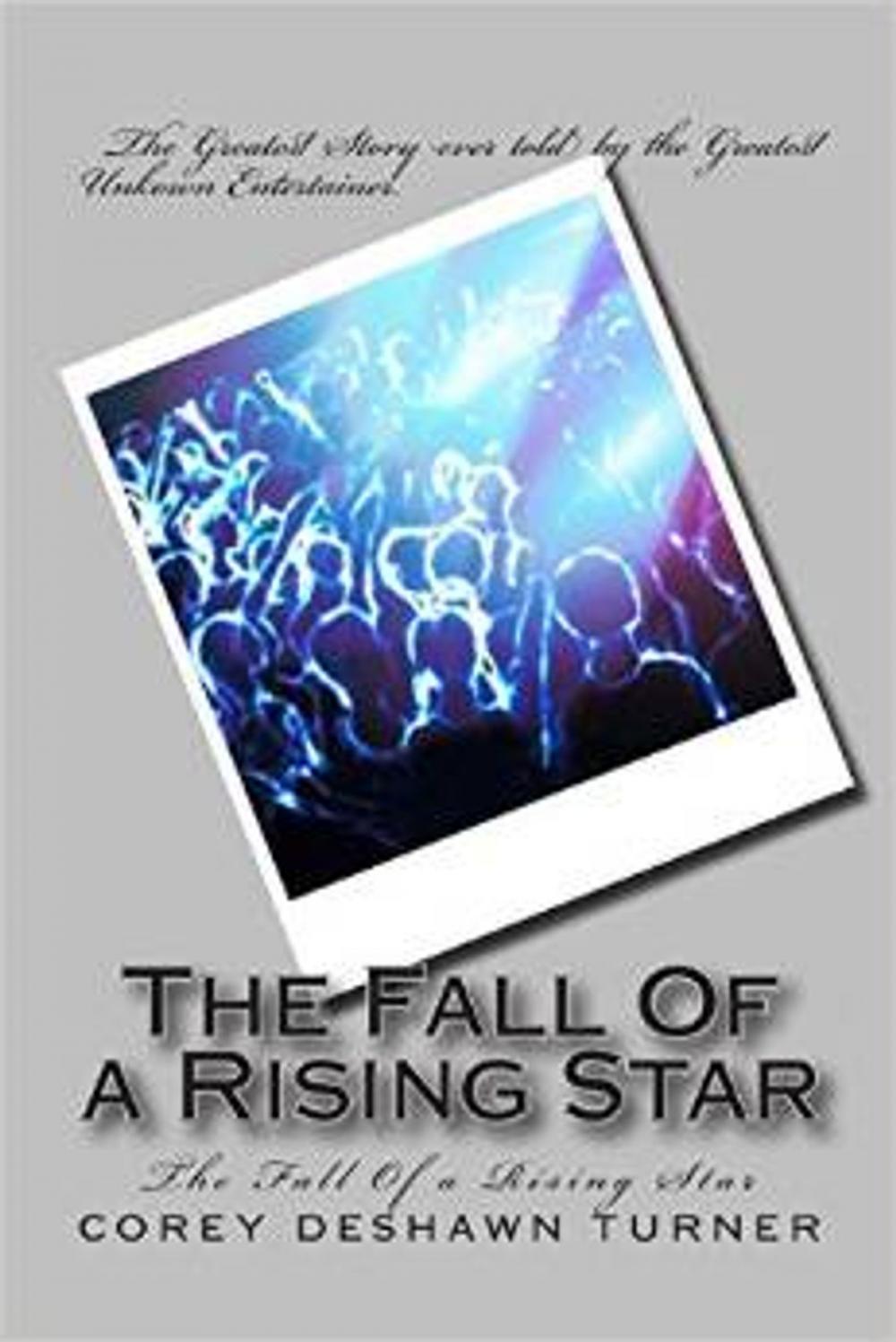 Big bigCover of The Fall Of A Rising Star