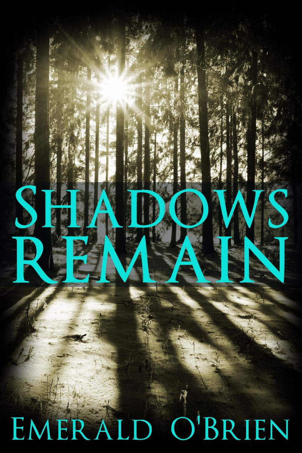 Big bigCover of Shadows Remain