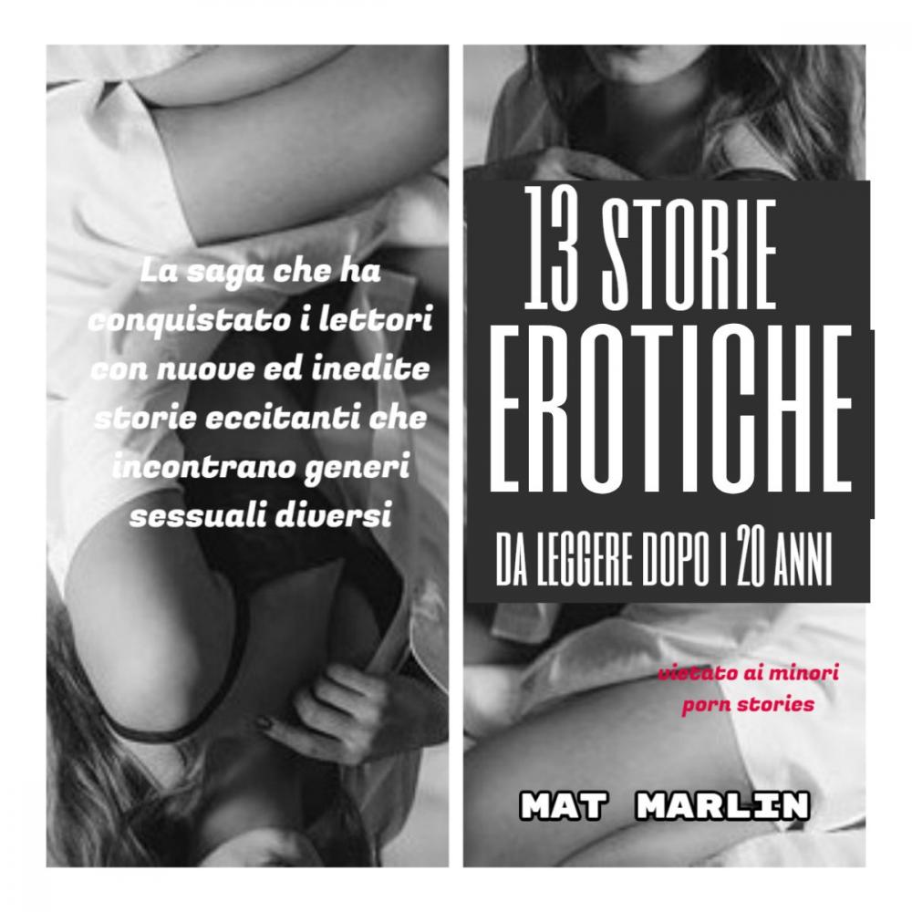 Big bigCover of 13 Storie erotiche da leggere dopo i 20 anni (porn stories)