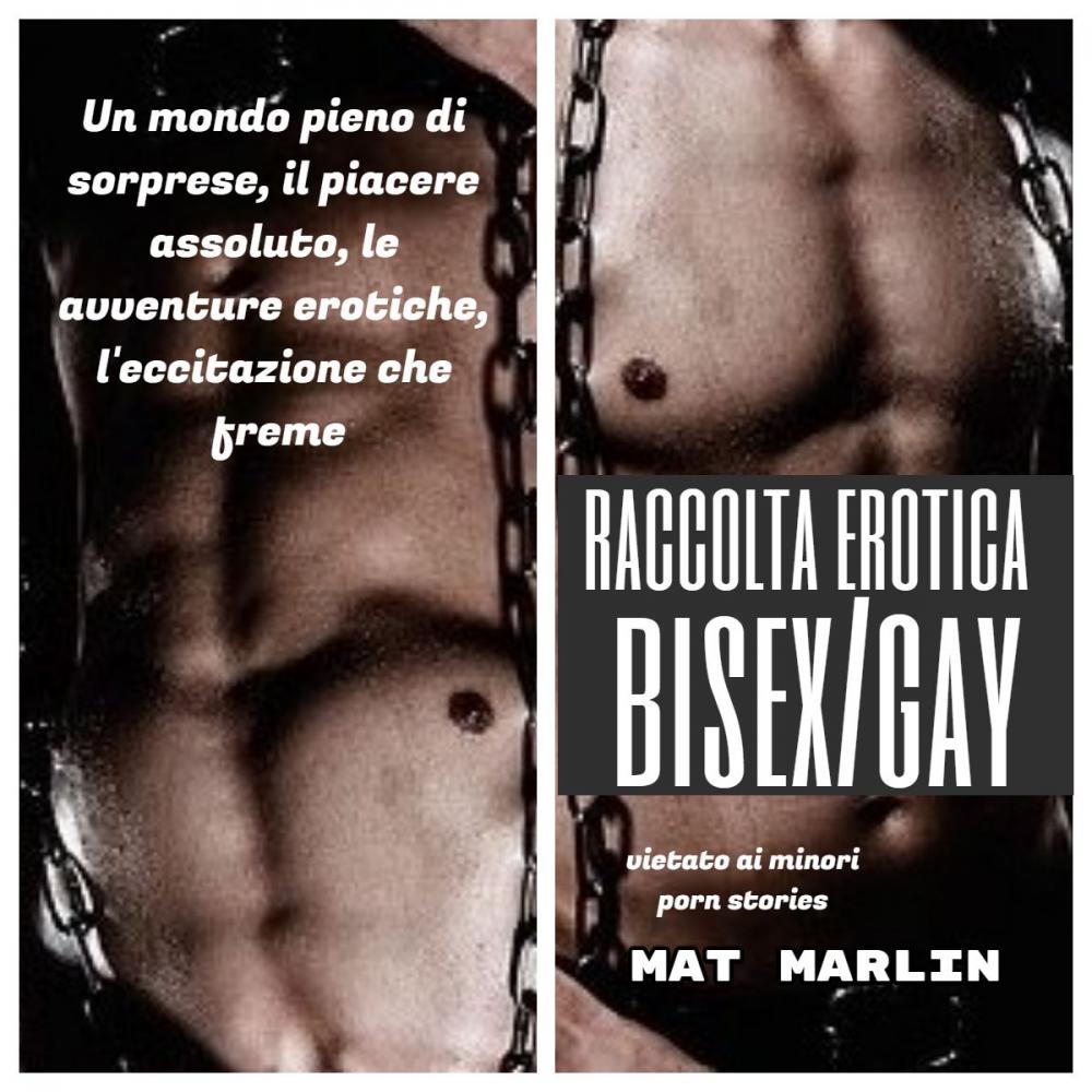 Big bigCover of Raccolta erotica bisex gay (porn stories)