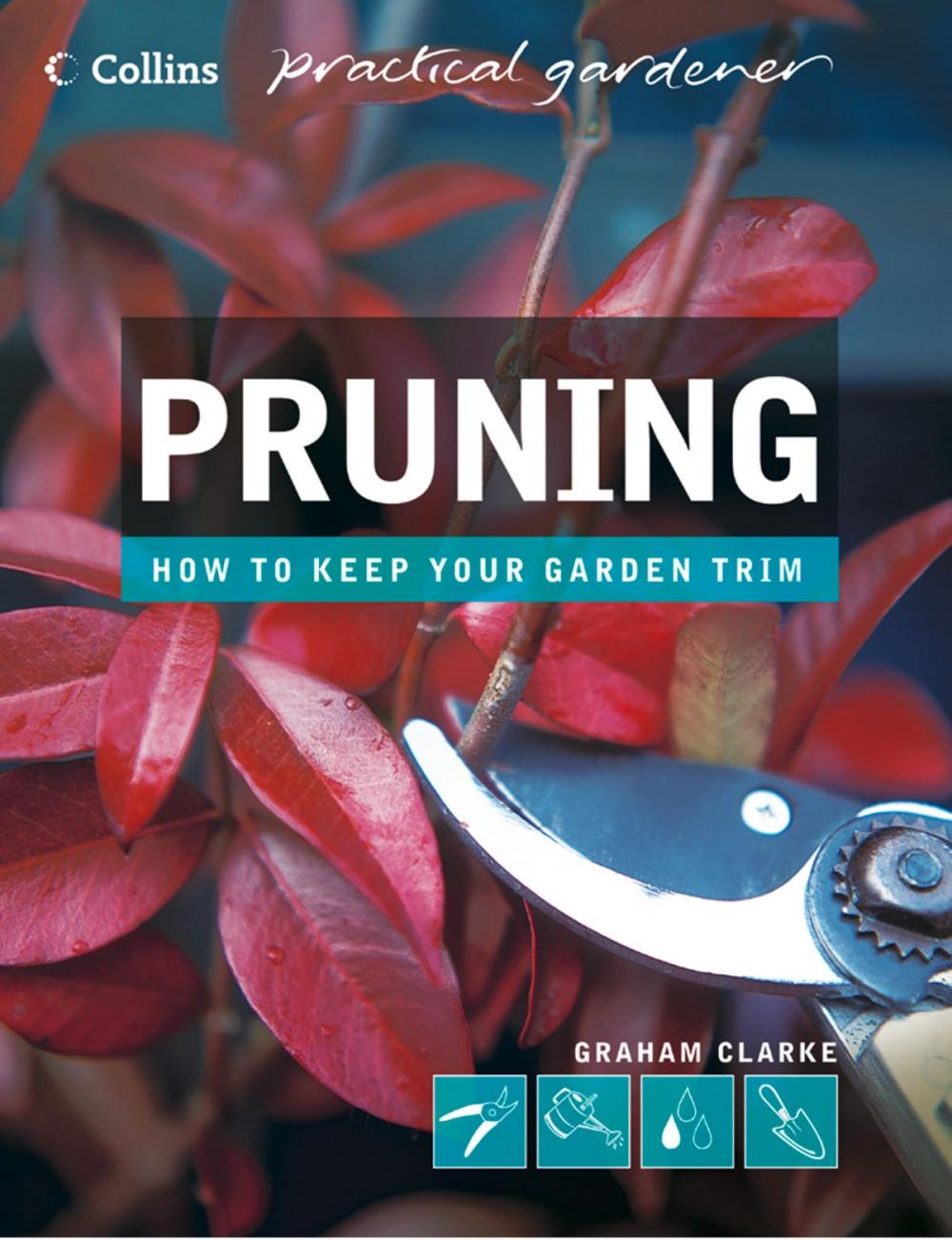 Big bigCover of Pruning (Collins Practical Gardener)