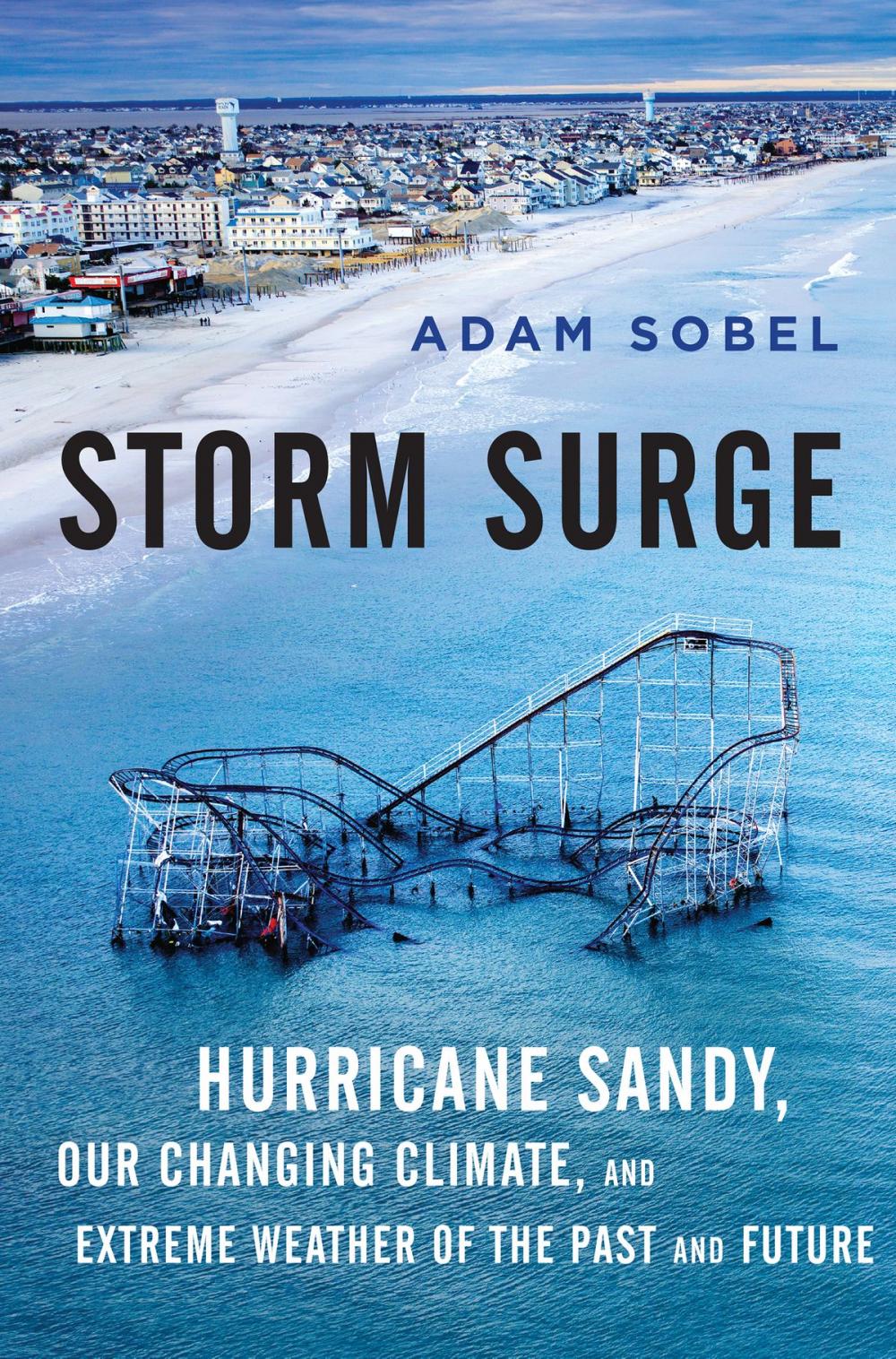 Big bigCover of Storm Surge