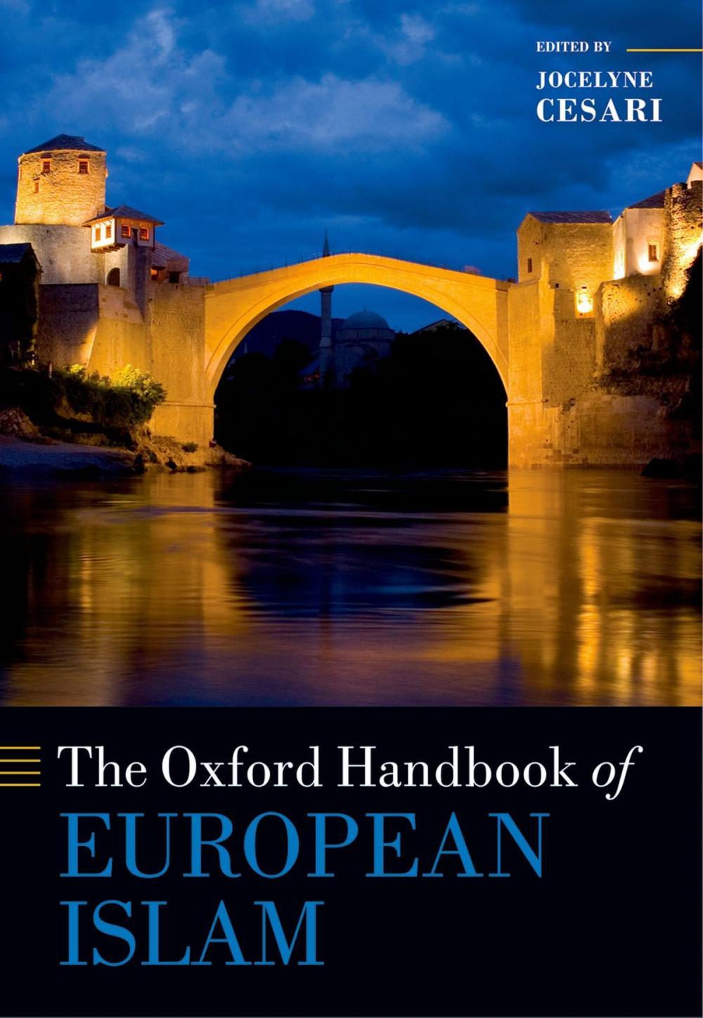 Big bigCover of The Oxford Handbook of European Islam