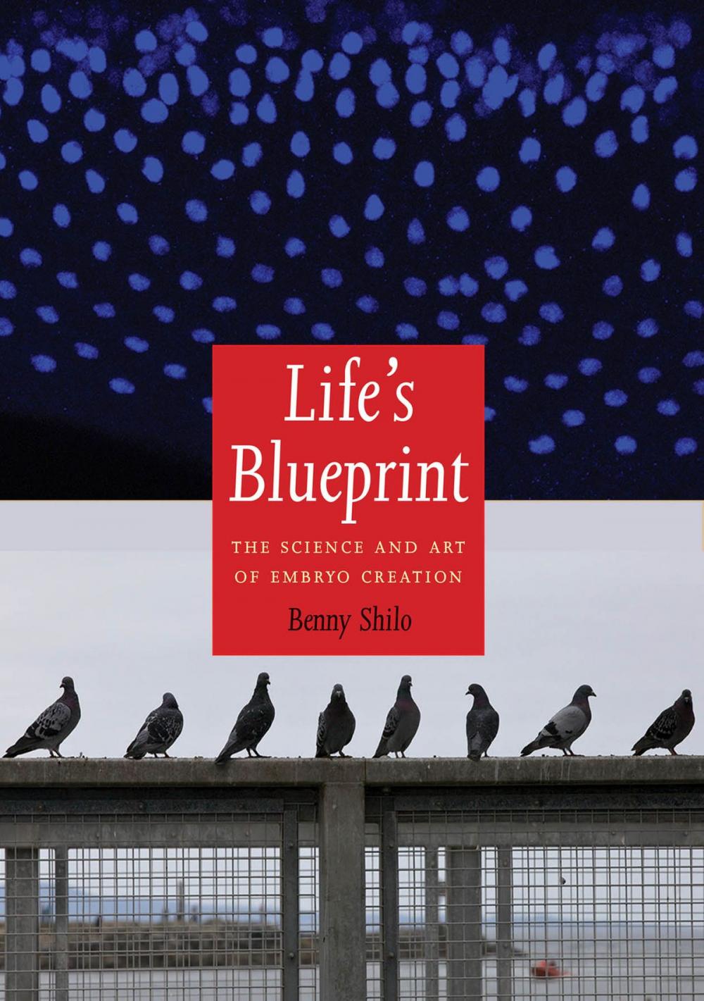 Big bigCover of Life's Blueprint