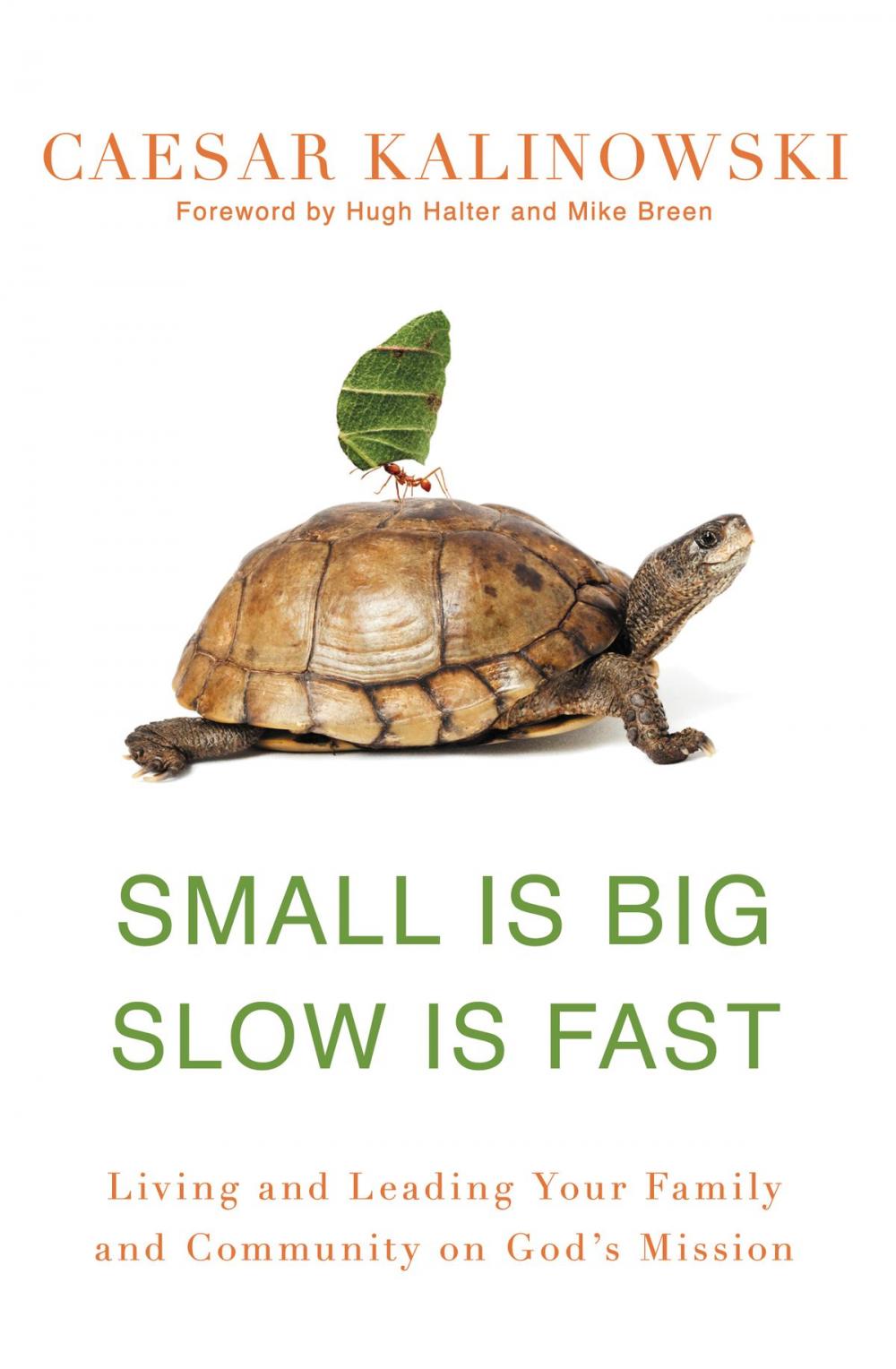 Big bigCover of Small Is Big, Slow Is Fast