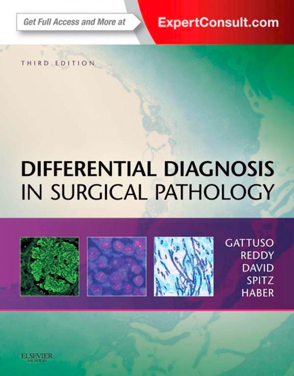 Big bigCover of Differential Diagnosis in Surgical Pathology E-Book