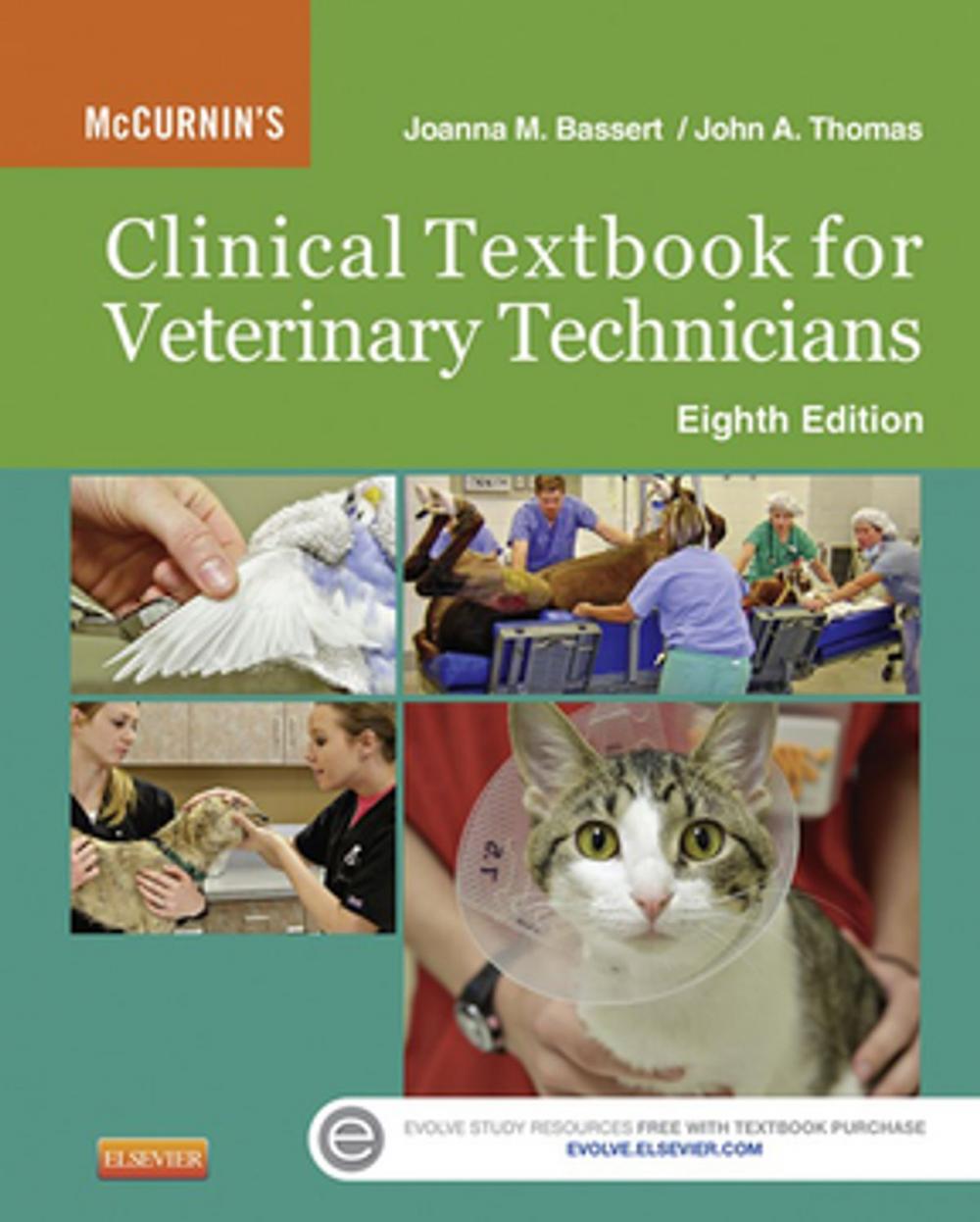 Big bigCover of McCurnin's Clinical Textbook for Veterinary Technicians - E-Book