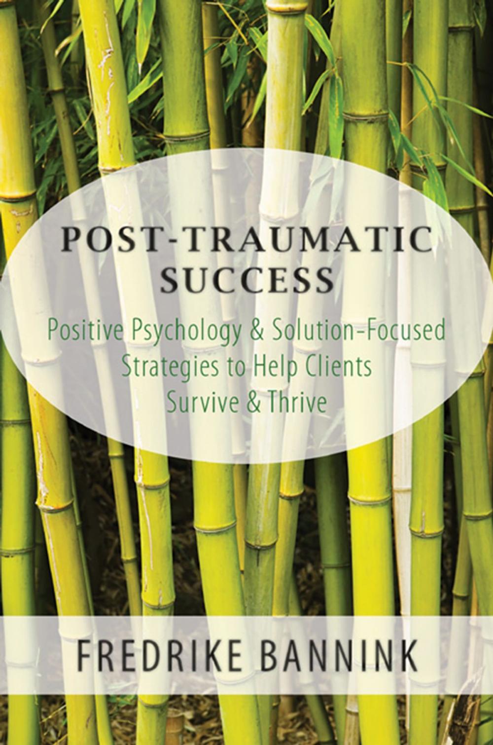 Big bigCover of Post Traumatic Success: Positive Psychology & Solution-Focused Strategies to Help Clients Survive & Thrive