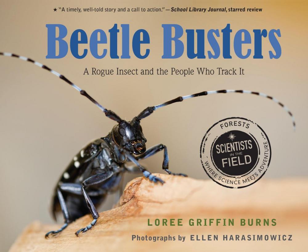 Big bigCover of Beetle Busters