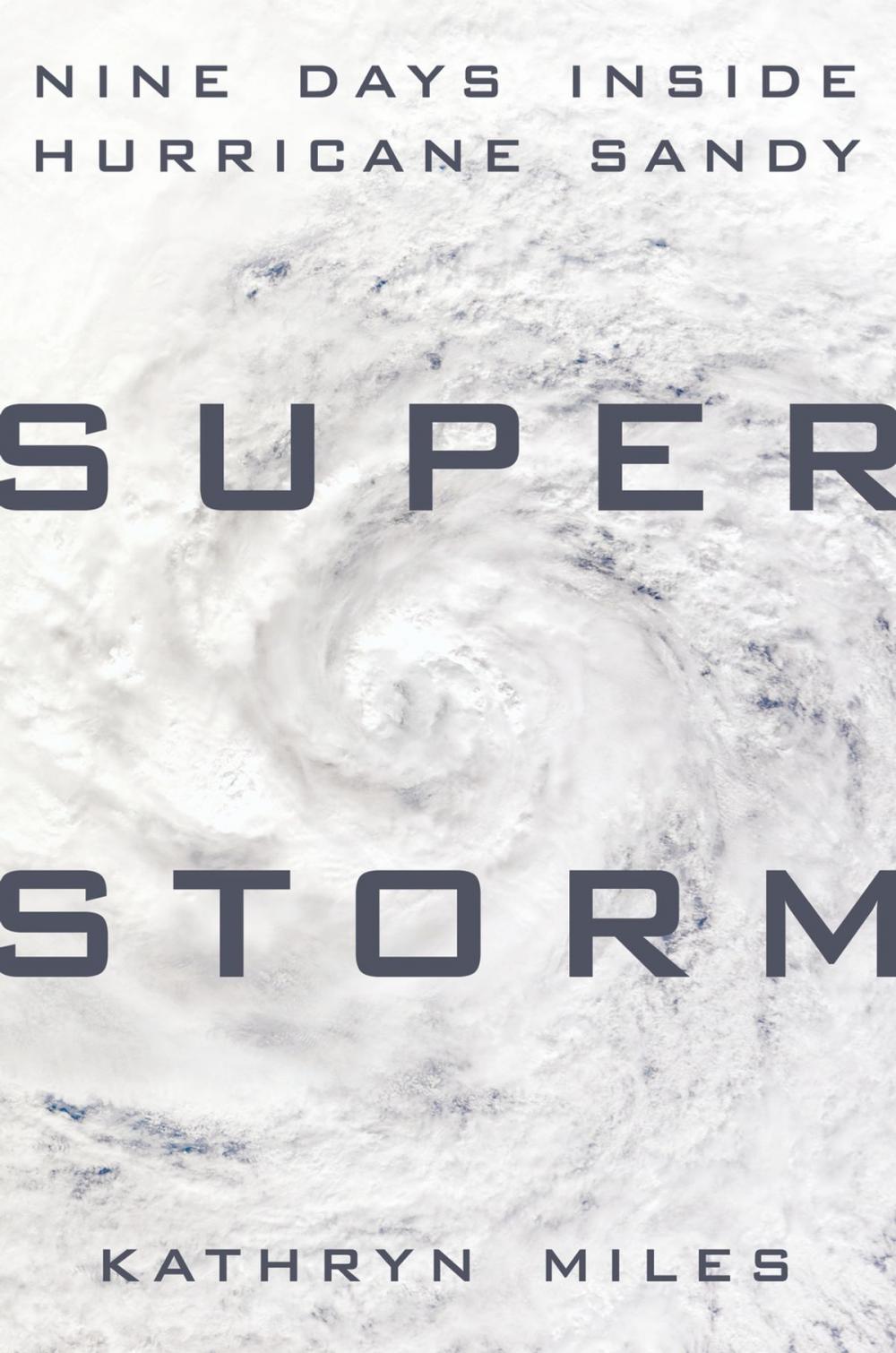 Big bigCover of Superstorm