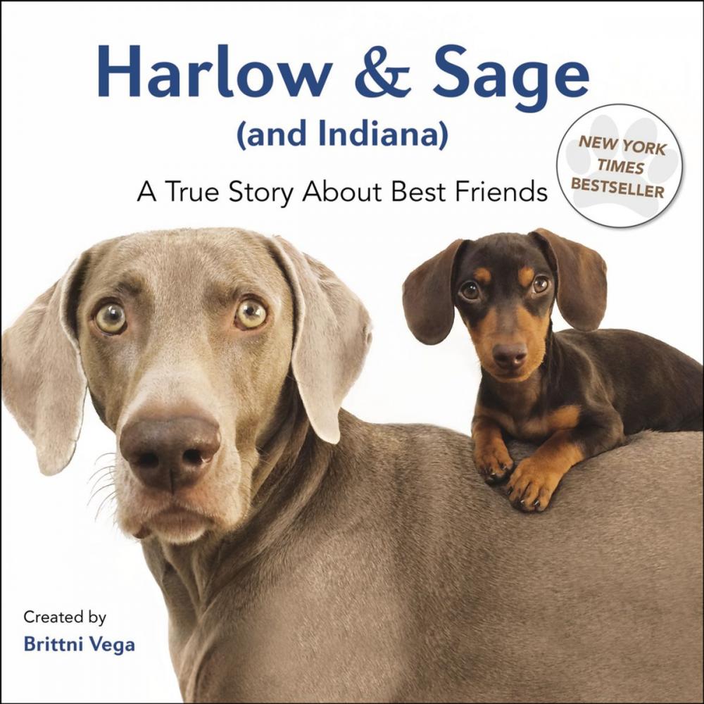 Big bigCover of Harlow & Sage (and Indiana)