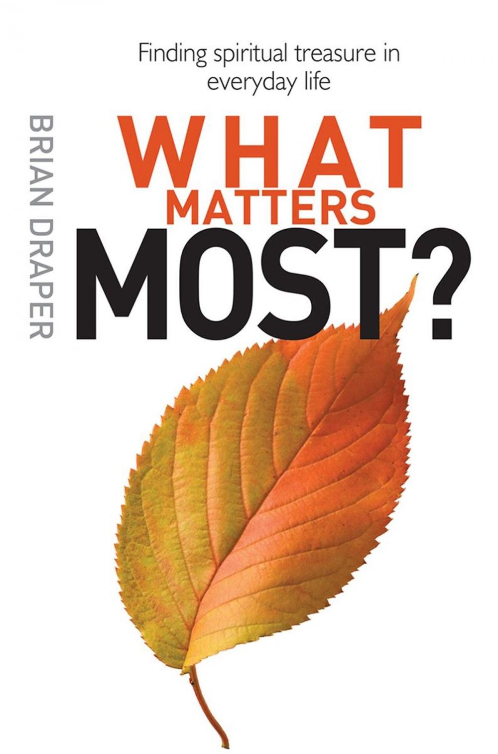 Big bigCover of What Matters Most