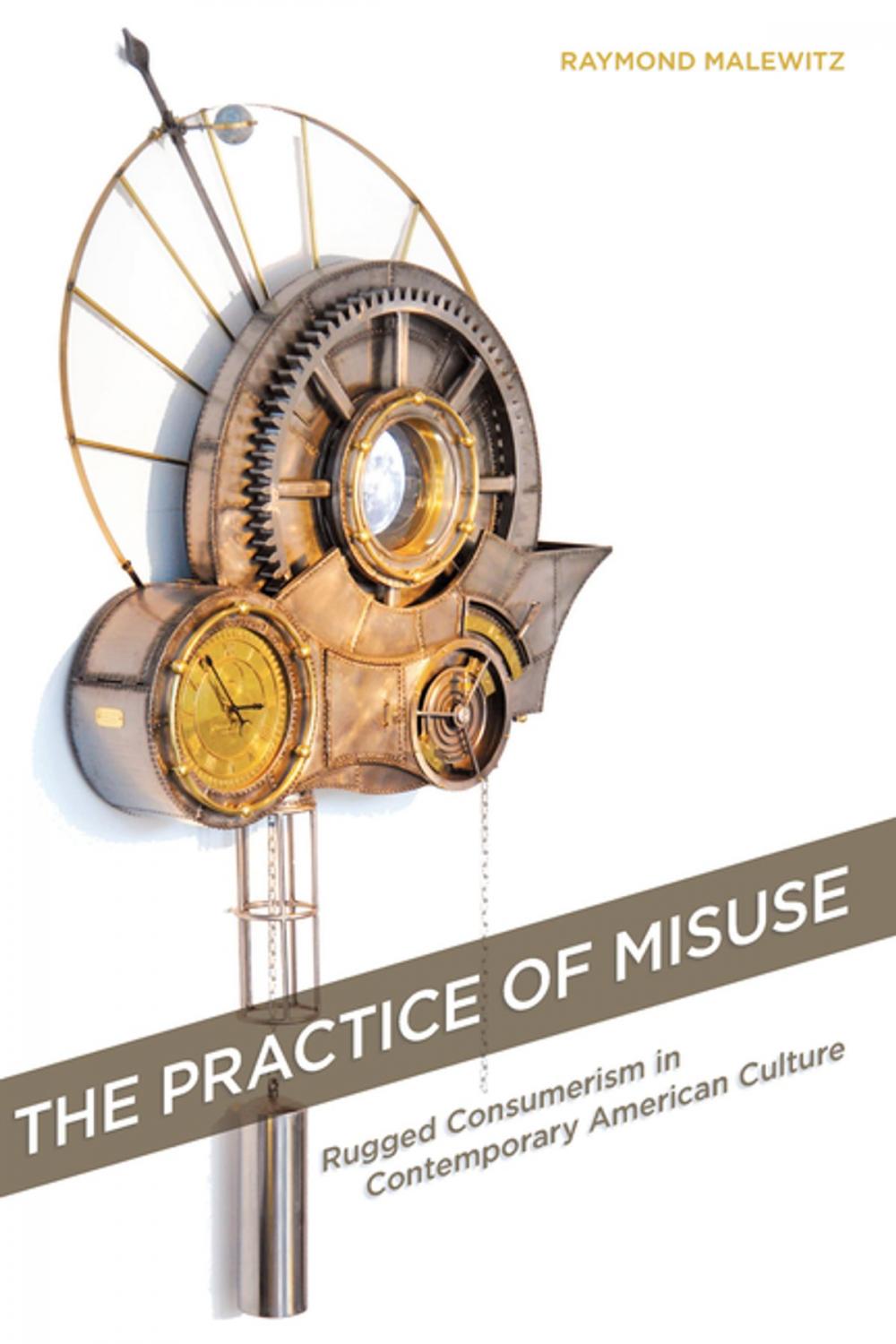 Big bigCover of The Practice of Misuse