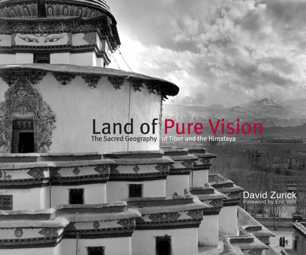 Big bigCover of Land of Pure Vision