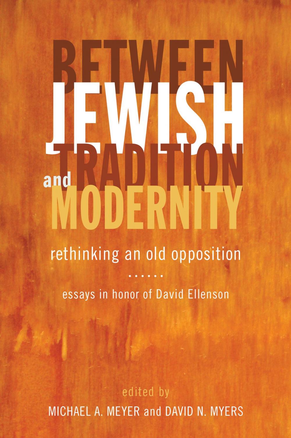 Big bigCover of Between Jewish Tradition and Modernity