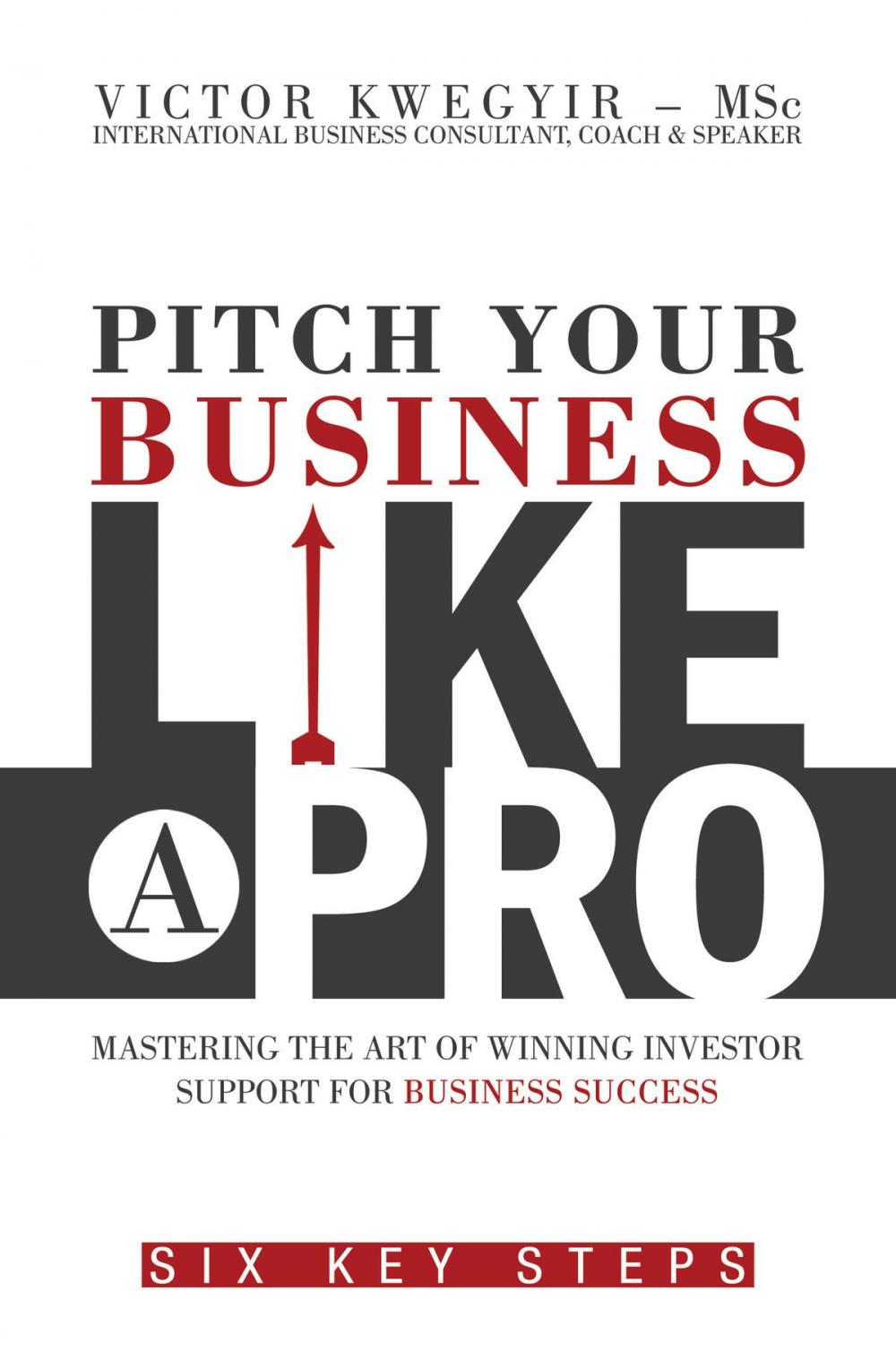 Big bigCover of Pitch Your Business Like a Pro: Mastering The Art of Winning Investor Support For Business Success: Six Key Steps