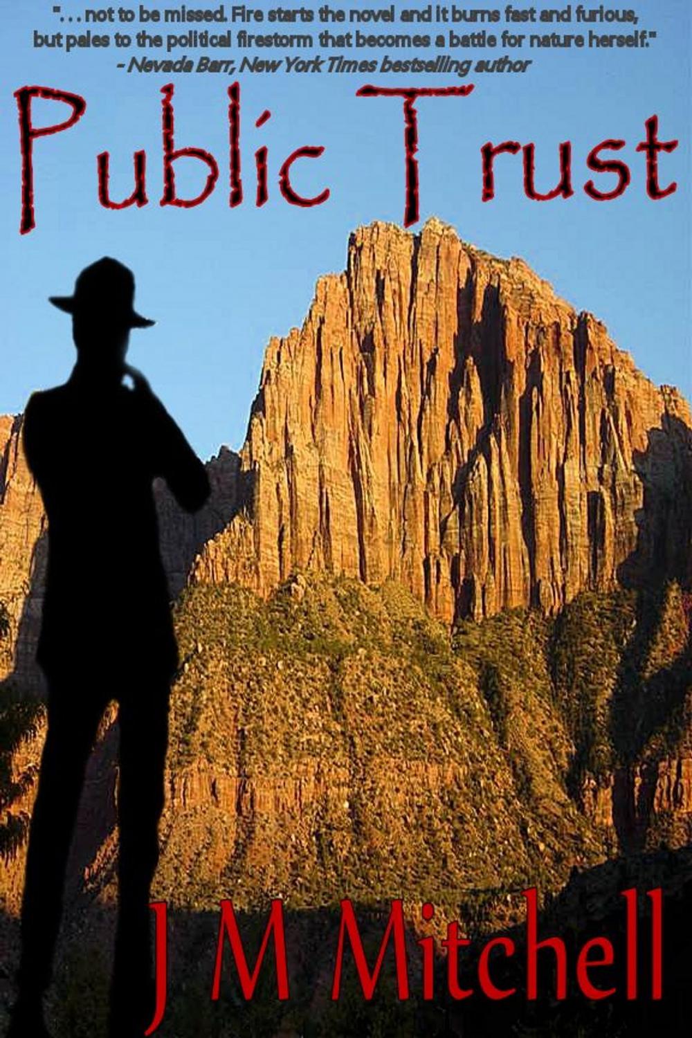 Big bigCover of Public Trust