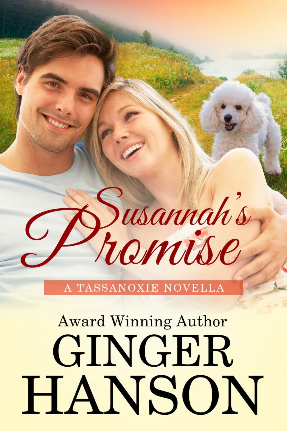 Big bigCover of Susannah's Promise