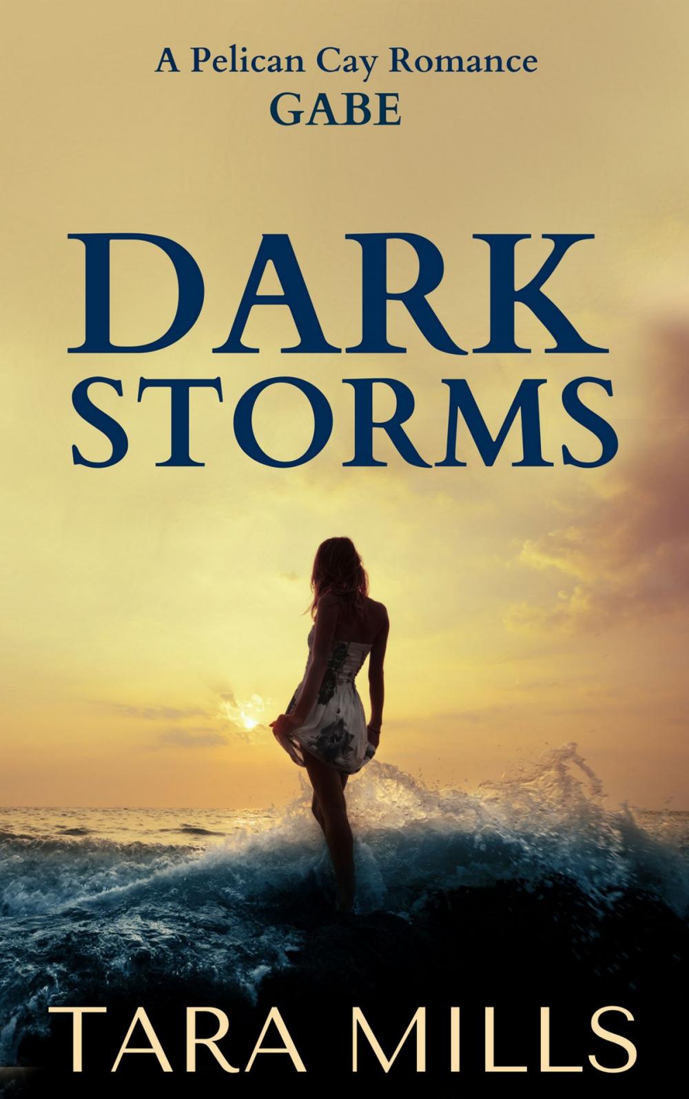 Big bigCover of Dark Storms