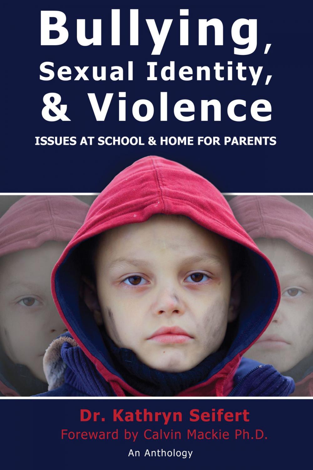 Big bigCover of Bullying, Sexual Identity & Violence: Issues at School & Home for Parents