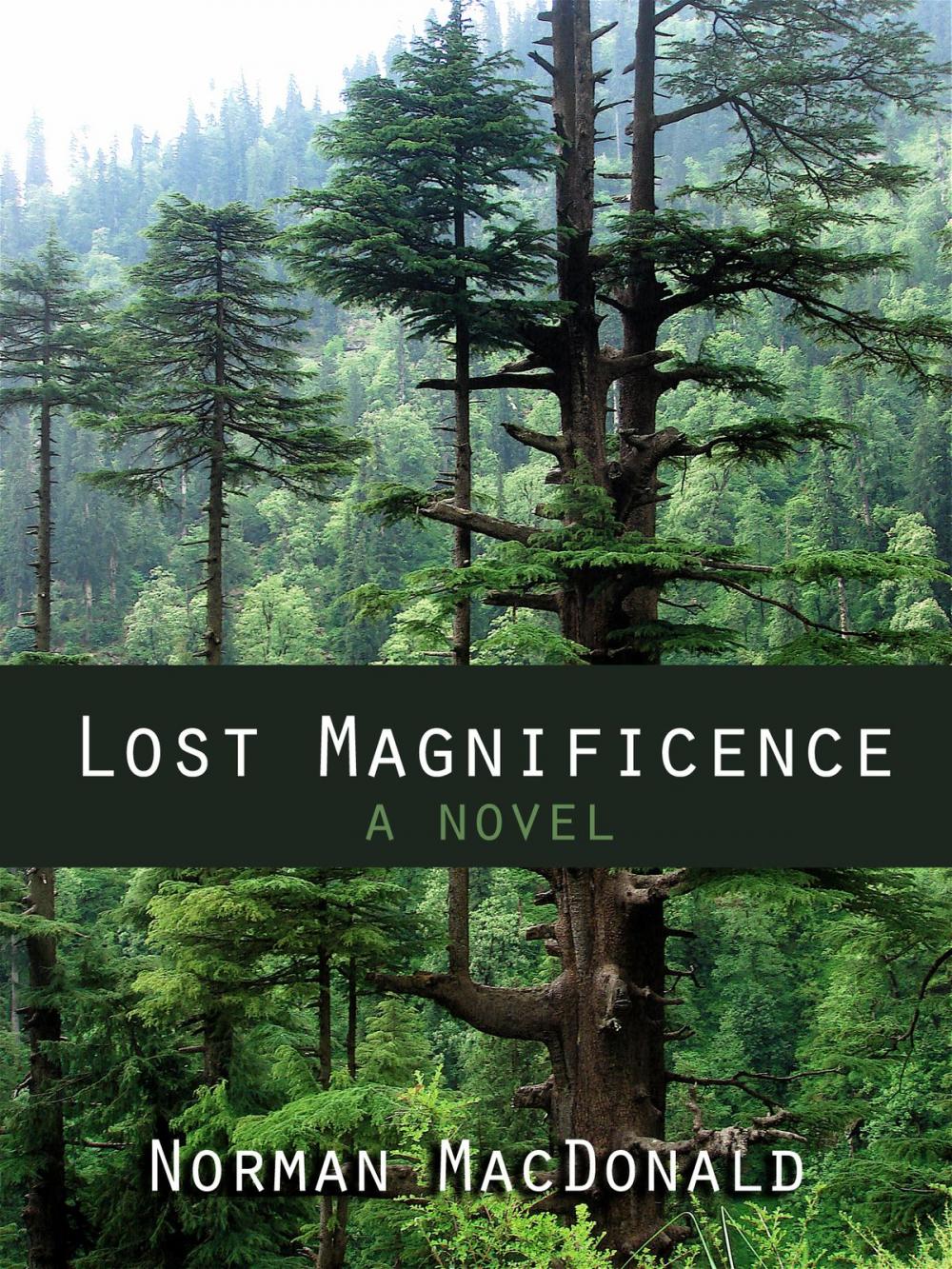 Big bigCover of Lost Magnificence