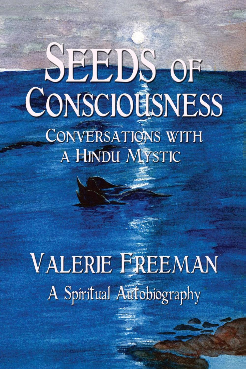 Big bigCover of Seeds of Consciousness: Conversations with a Hindu Mystic