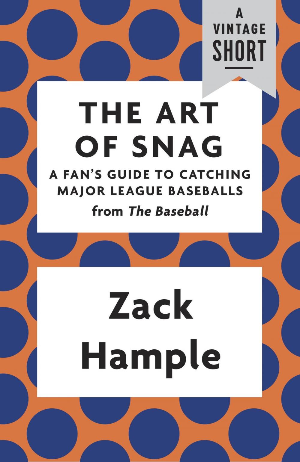 Big bigCover of The Art of Snag