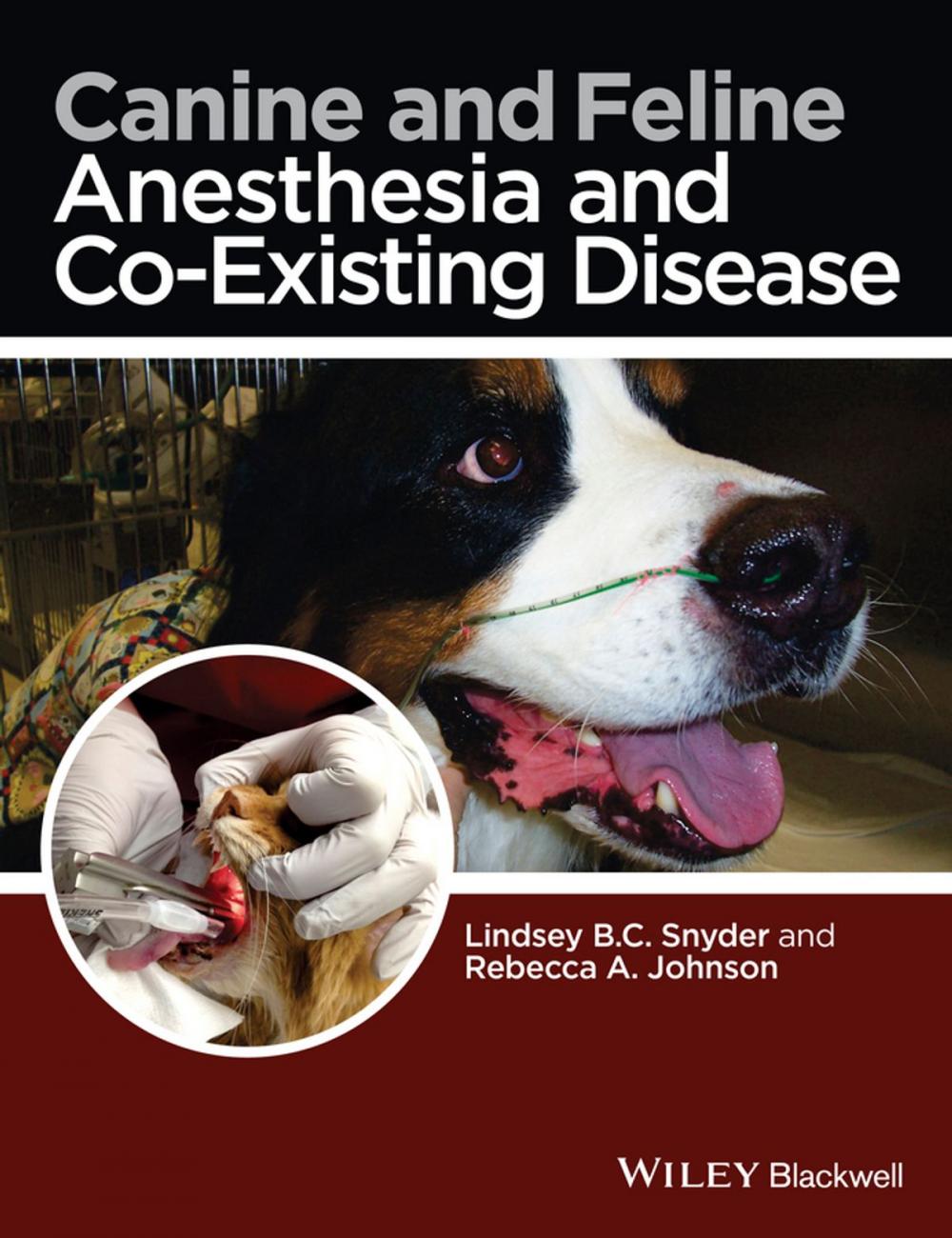 Big bigCover of Canine and Feline Anesthesia and Co-Existing Disease