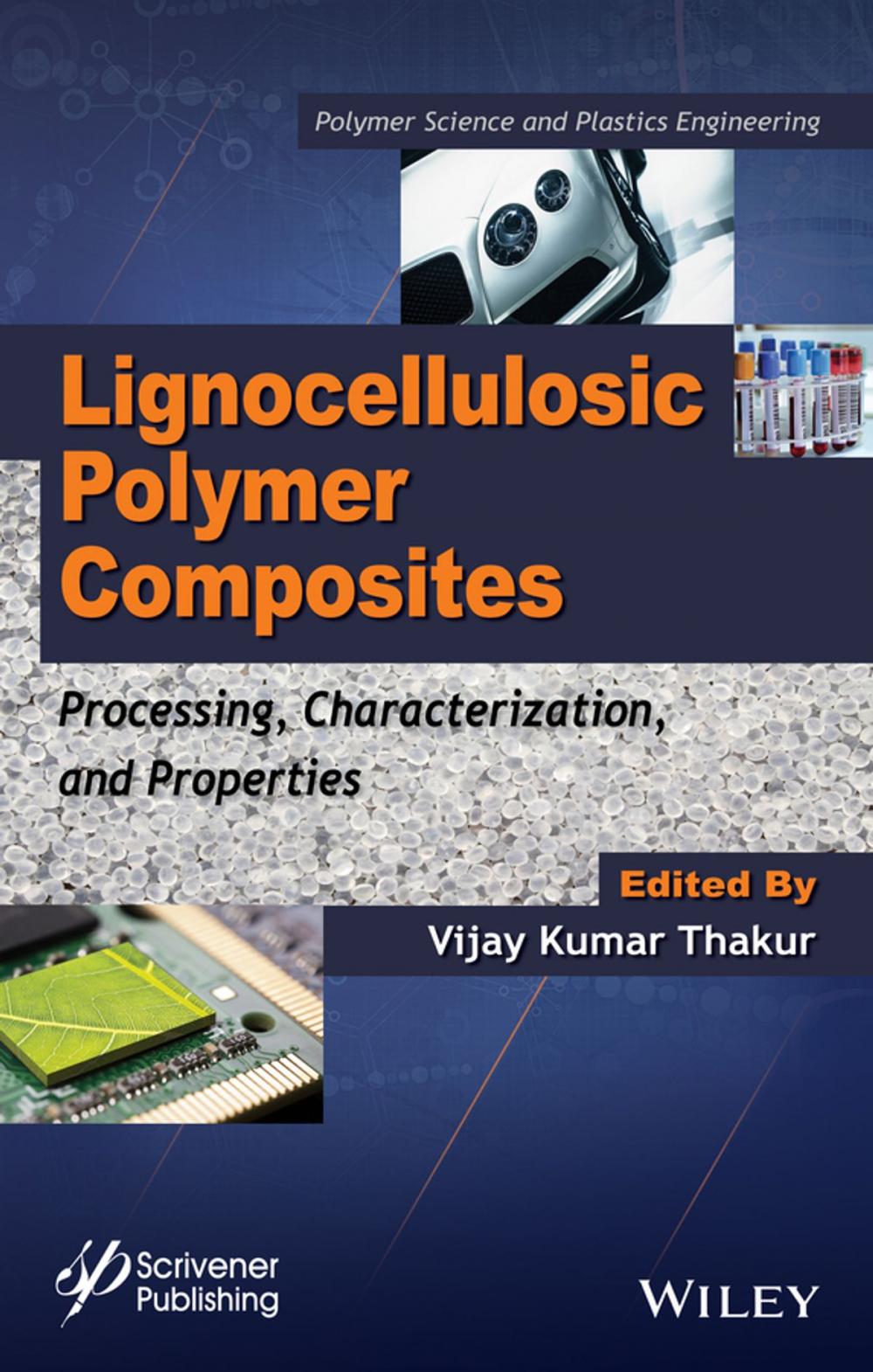 Big bigCover of Lignocellulosic Polymer Composites