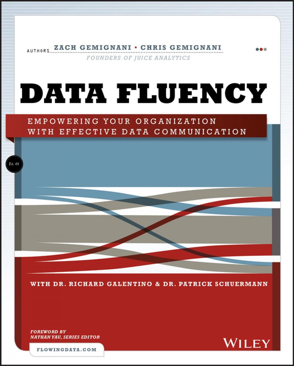 Big bigCover of Data Fluency