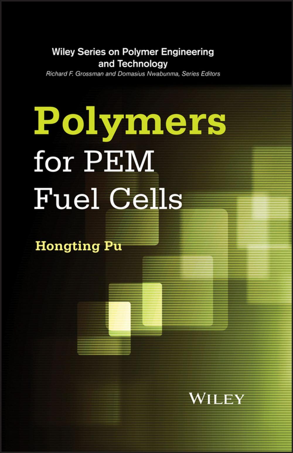 Big bigCover of Polymers for PEM Fuel Cells