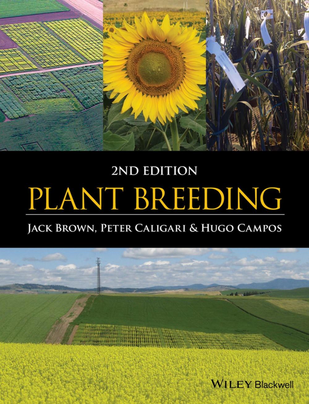 Big bigCover of Plant Breeding