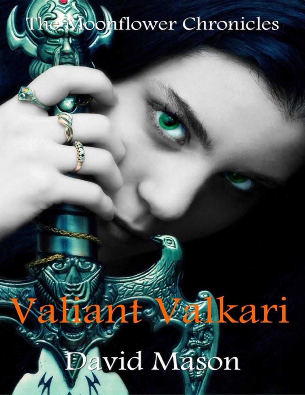 Big bigCover of Valiant Valkari