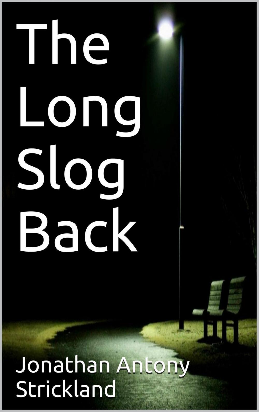 Big bigCover of The Long Slog Back