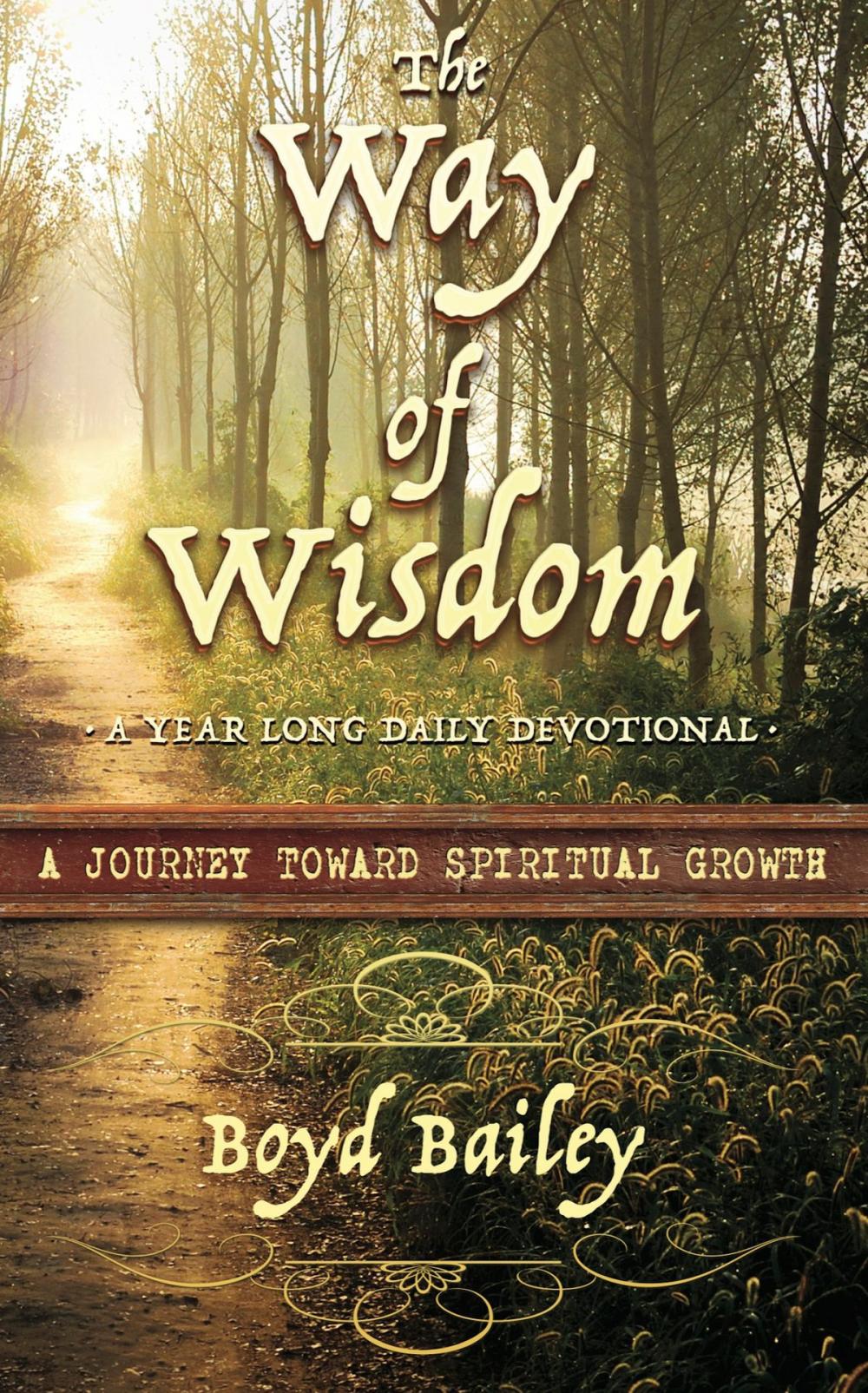 Big bigCover of The Way of Wisdom