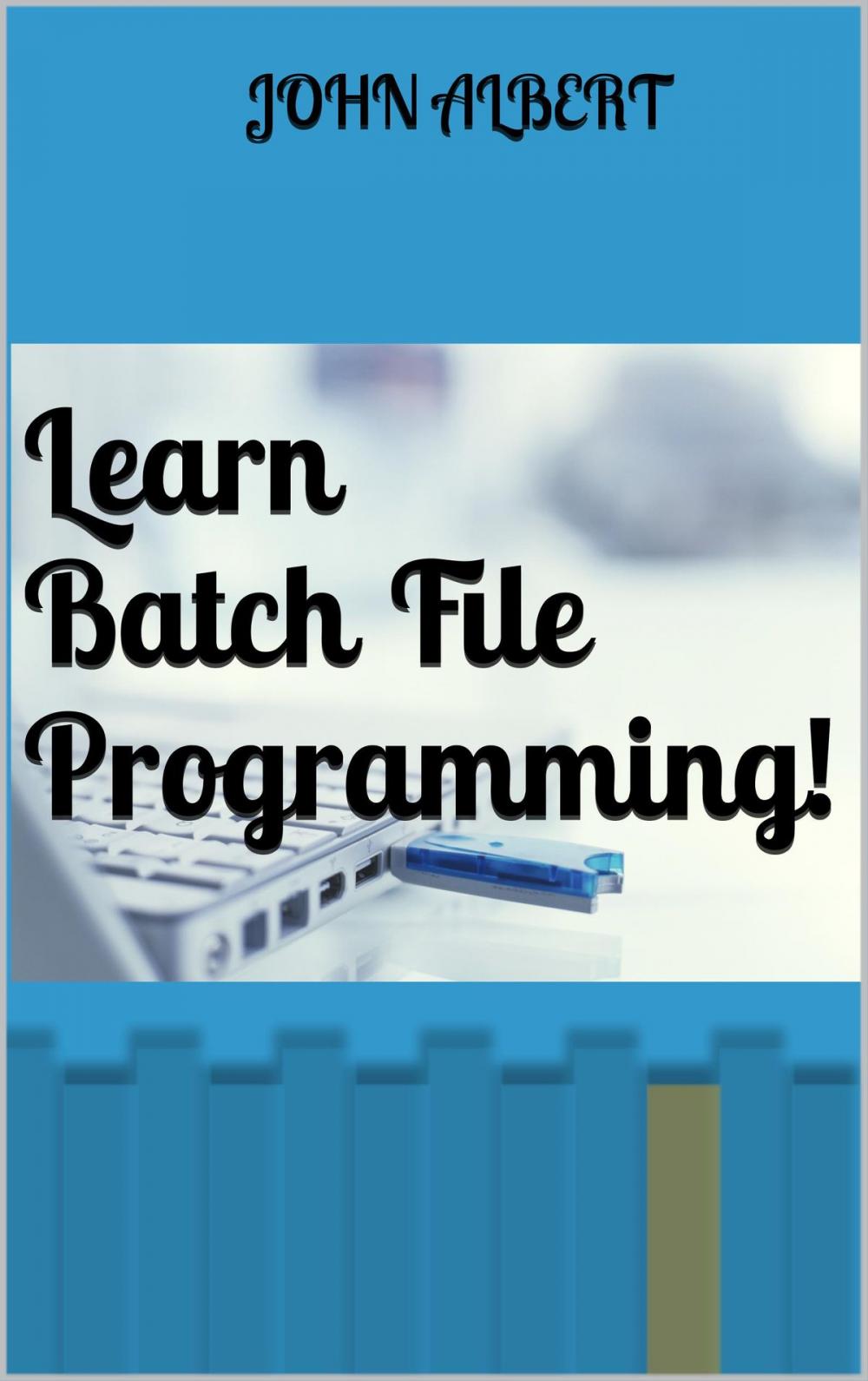 Big bigCover of Learn Batch File Programming!